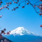 【日本廉航】台灣飛日本航線懶人包（樂桃、捷星、虎航、酷航）