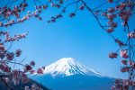 Photo by JJ Ying on Unsplash