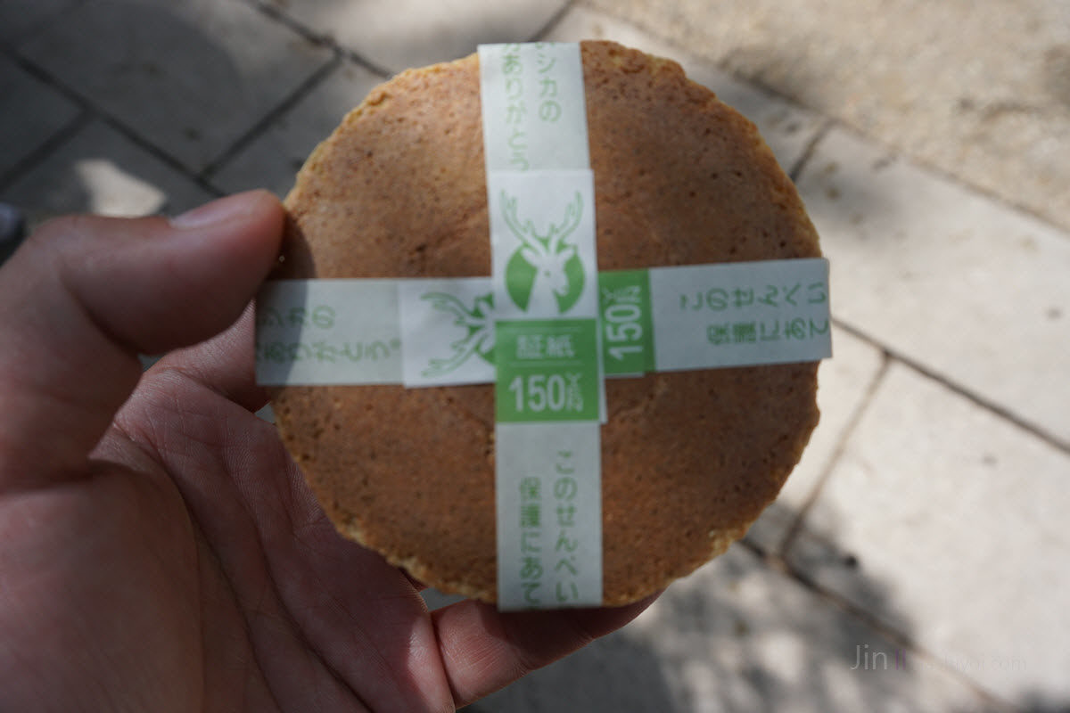奈良 鹿公園