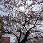 不用再害怕東京地下鐵內迷路!東京地下鐵與Google Map 街景合作了!