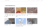 【JetPack外掛】WordPress 相關文章增加數量方法 圖片1