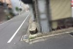 日本 壞心石