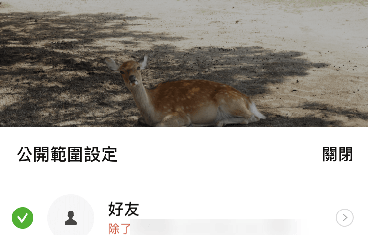 Line 限時動態
