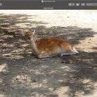 Mac 單張圖片或多張圖片轉 PDF 教學