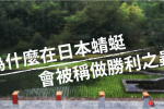 蜻蜓與japan samurai dragonfly 00相關畫面