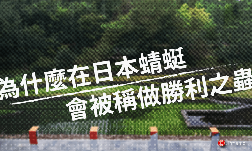 在日本有勝利蟲之稱的蜻蜓