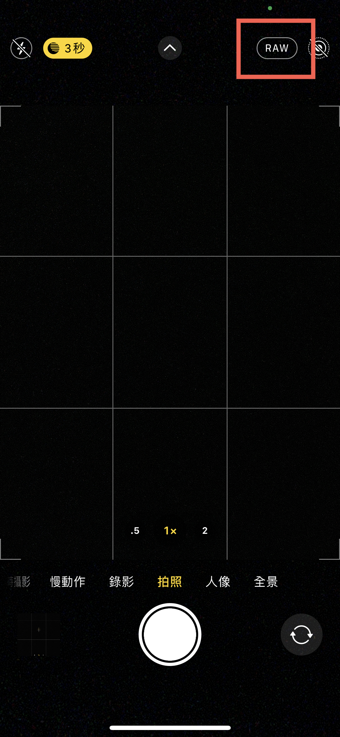 iPhone RAW