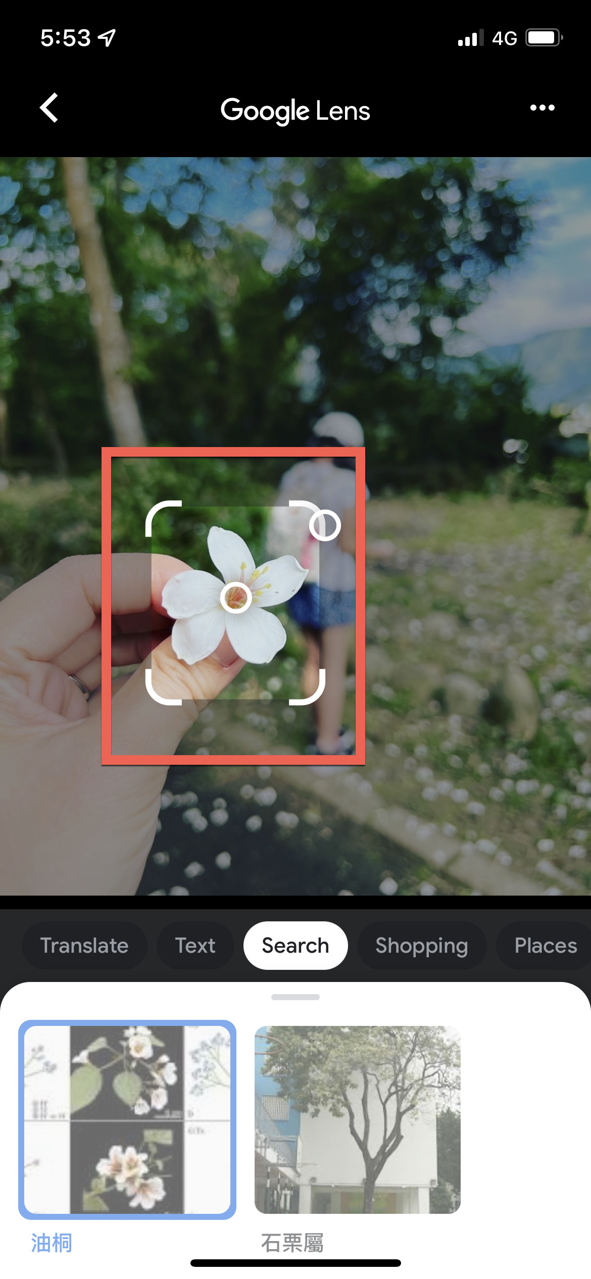 Google 相簿 App 搜尋物品、人物、地點方法教學 圖片7