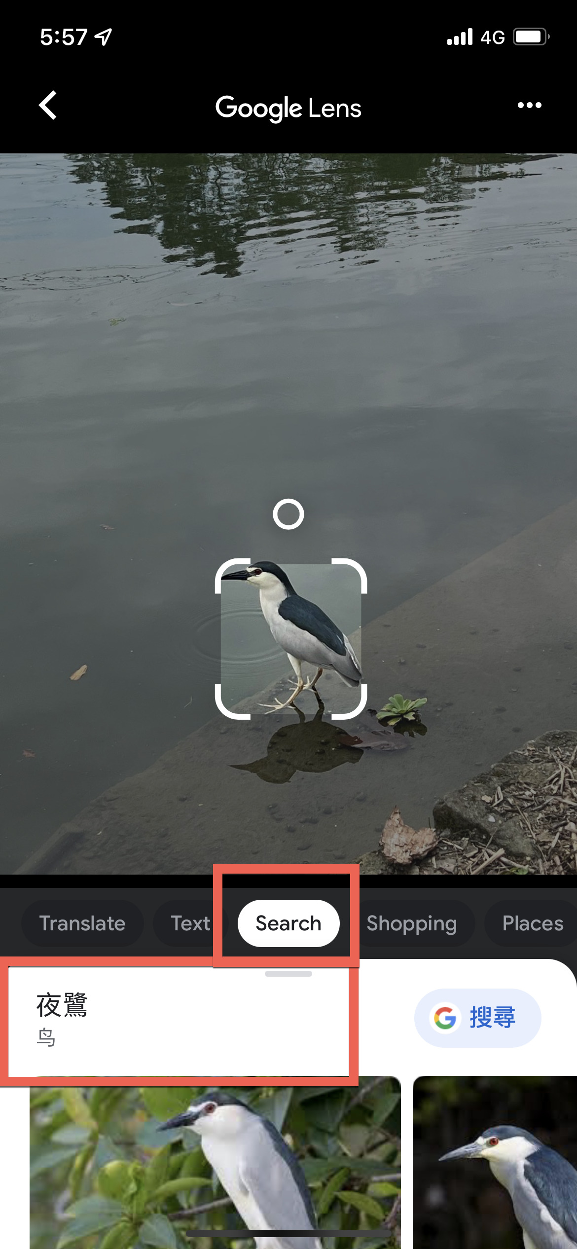 Google 相簿 App 搜尋物品、人物、地點方法教學 圖片10