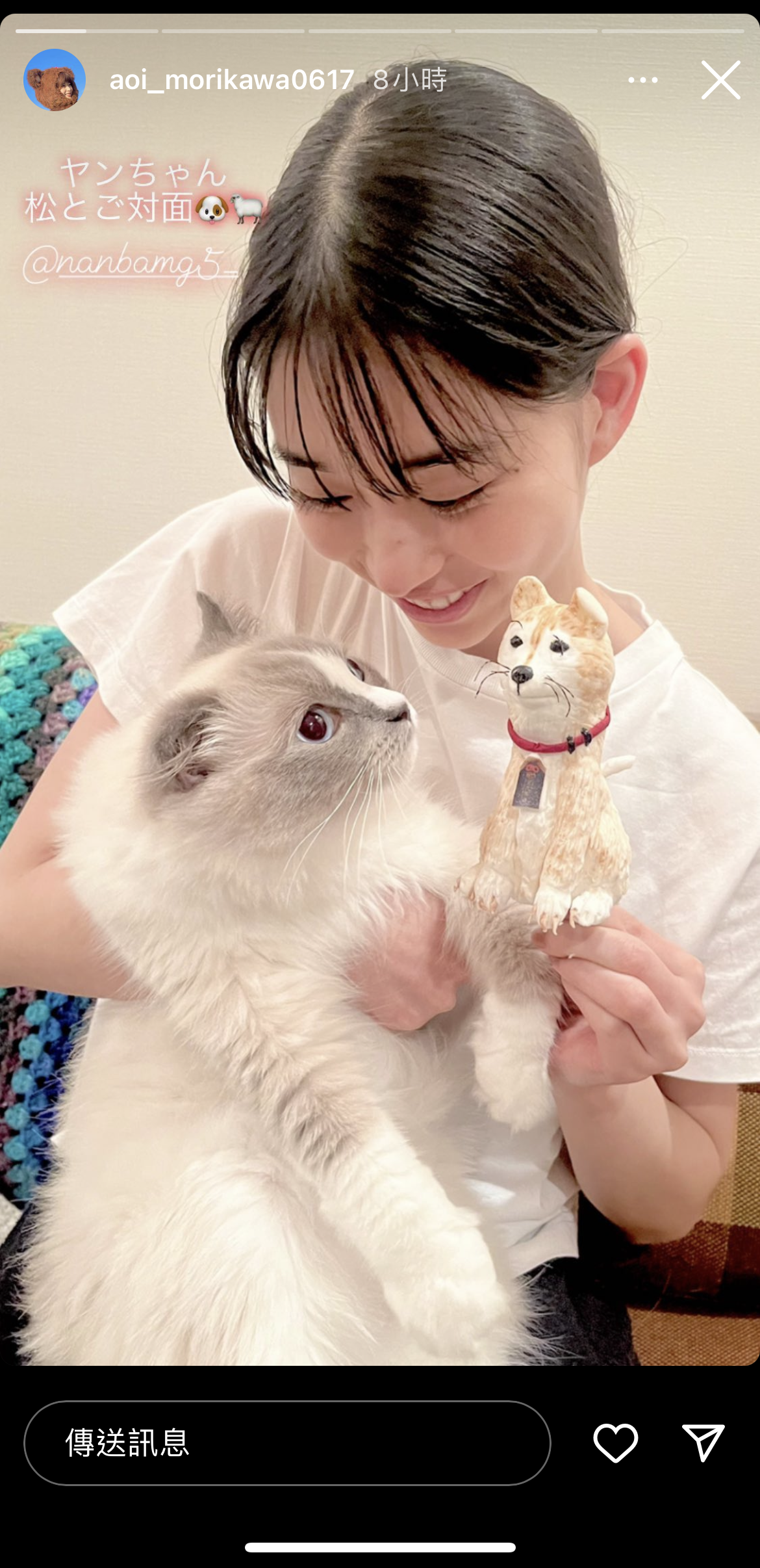 Instagram 重複看到舊的限時動態?快更新至 239.1 版本 圖片4