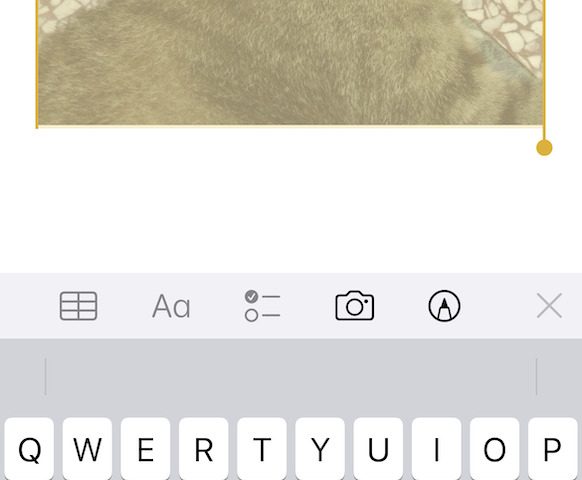 備忘錄新增照片方法教學 圖片8