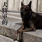 動保狗將軍德川綱吉的天下惡法「生類憐憫令」