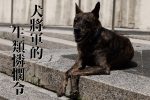 101-生類憐憫令