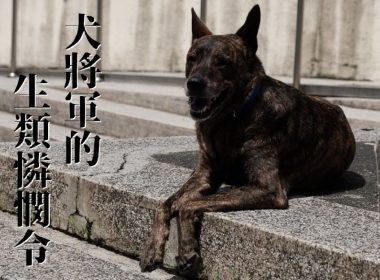 101-生類憐憫令