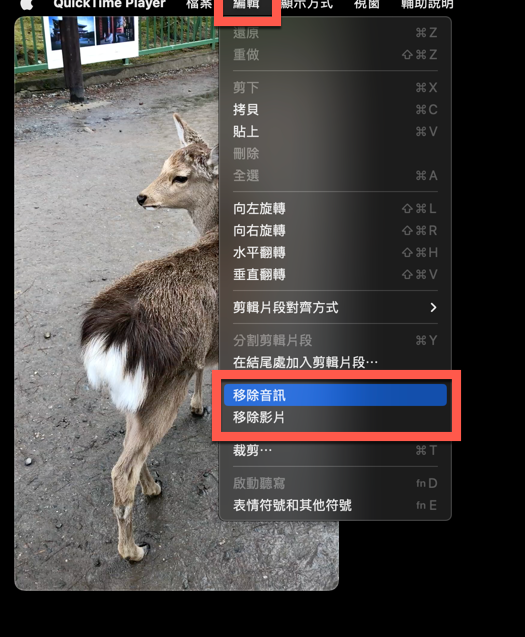 Mac 快速使用 QuickTime 移除影片保留聲音或者移除聲音方法教學 圖片5