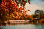 Photo by Lyndon Li on Unsplash
