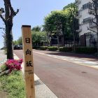 【東京】在日向坂相見吧!!!《日向坂で会いましょう》