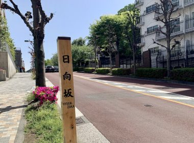 【東京】在日向坂相見吧!!!《日向坂で会いましょう》 圖片1