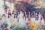 來源／AKB48官網
