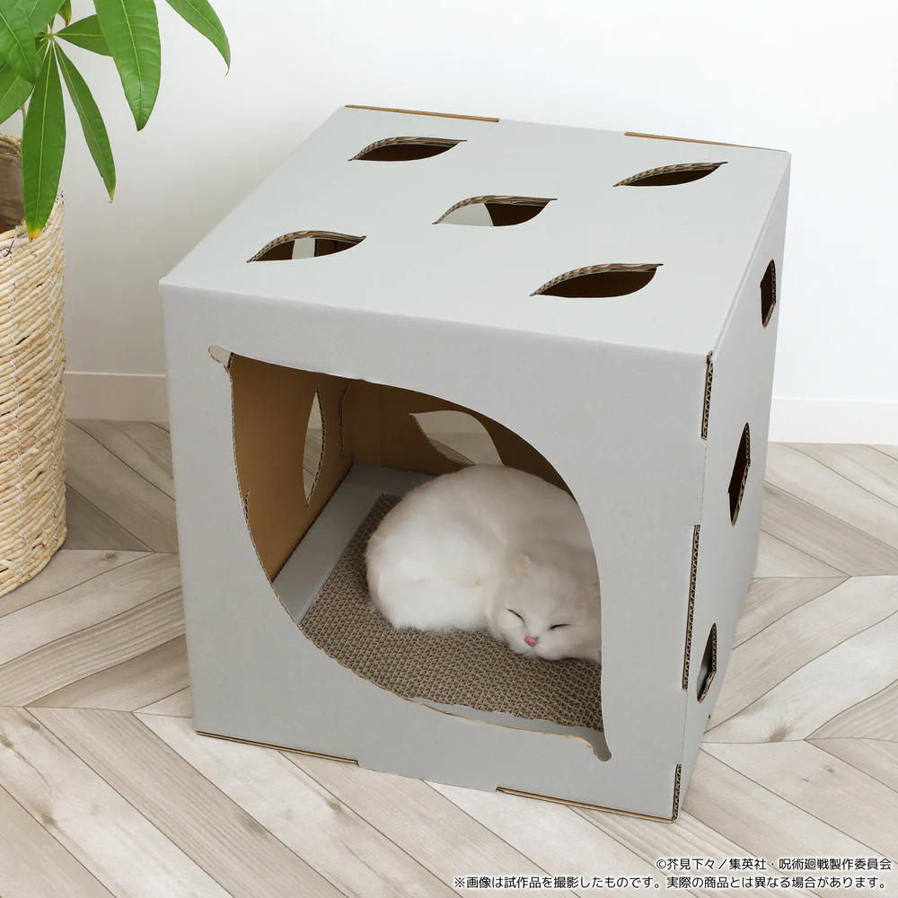 來源／ Animate Shop