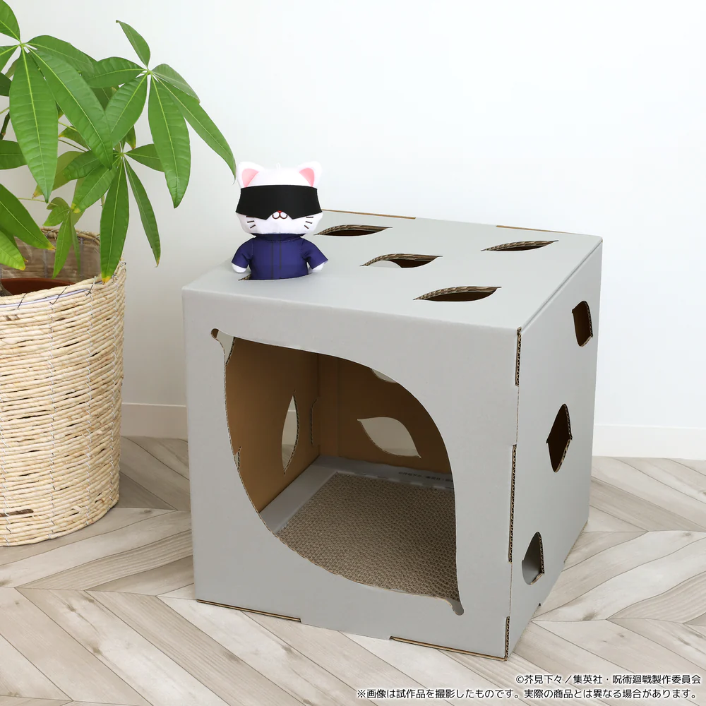 來源／ Animate Shop
