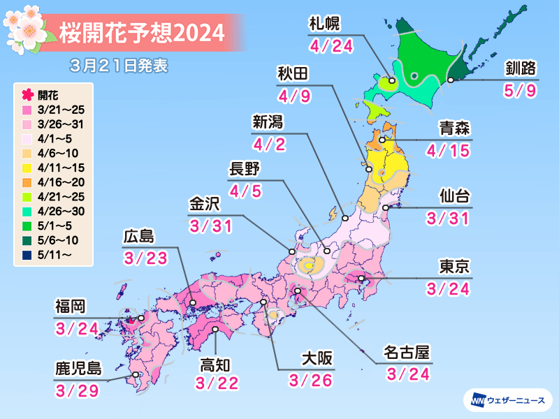 【3/28更新】2024年日本櫻花預測開花及滿開最新資訊 圖片2