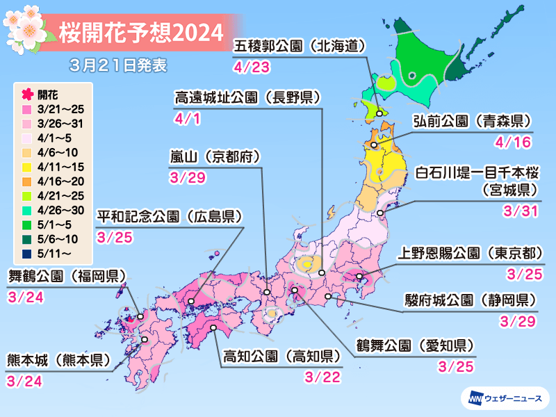 【3/28更新】2024年日本櫻花預測開花及滿開最新資訊 圖片3