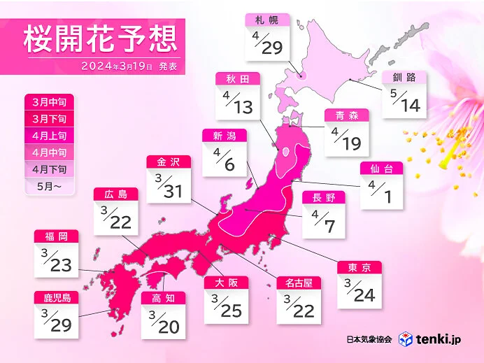 【3/28更新】2024年日本櫻花預測開花及滿開最新資訊 圖片4