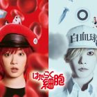 工作細胞真人版電影將於日本2024年12月上映