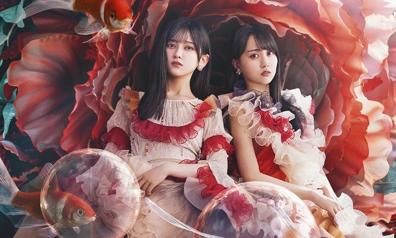來源/乃木坂46官網