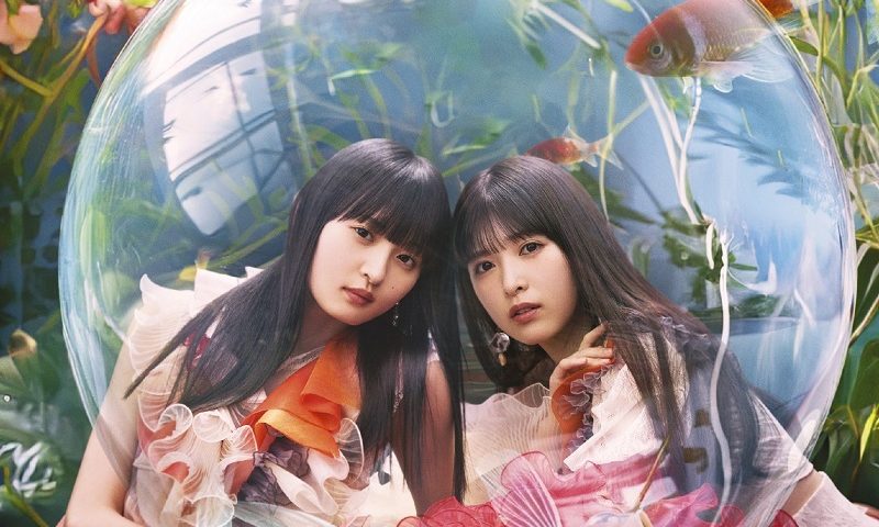來源/乃木坂46官網