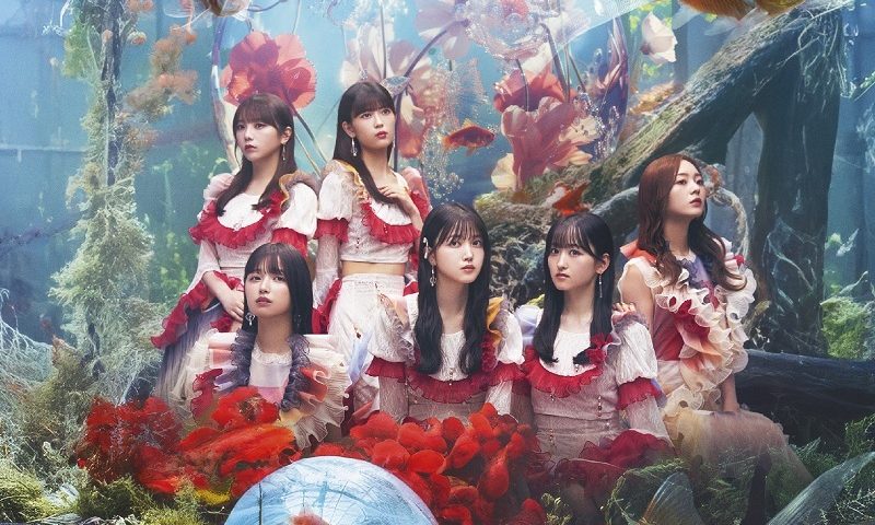 來源/乃木坂46官網
