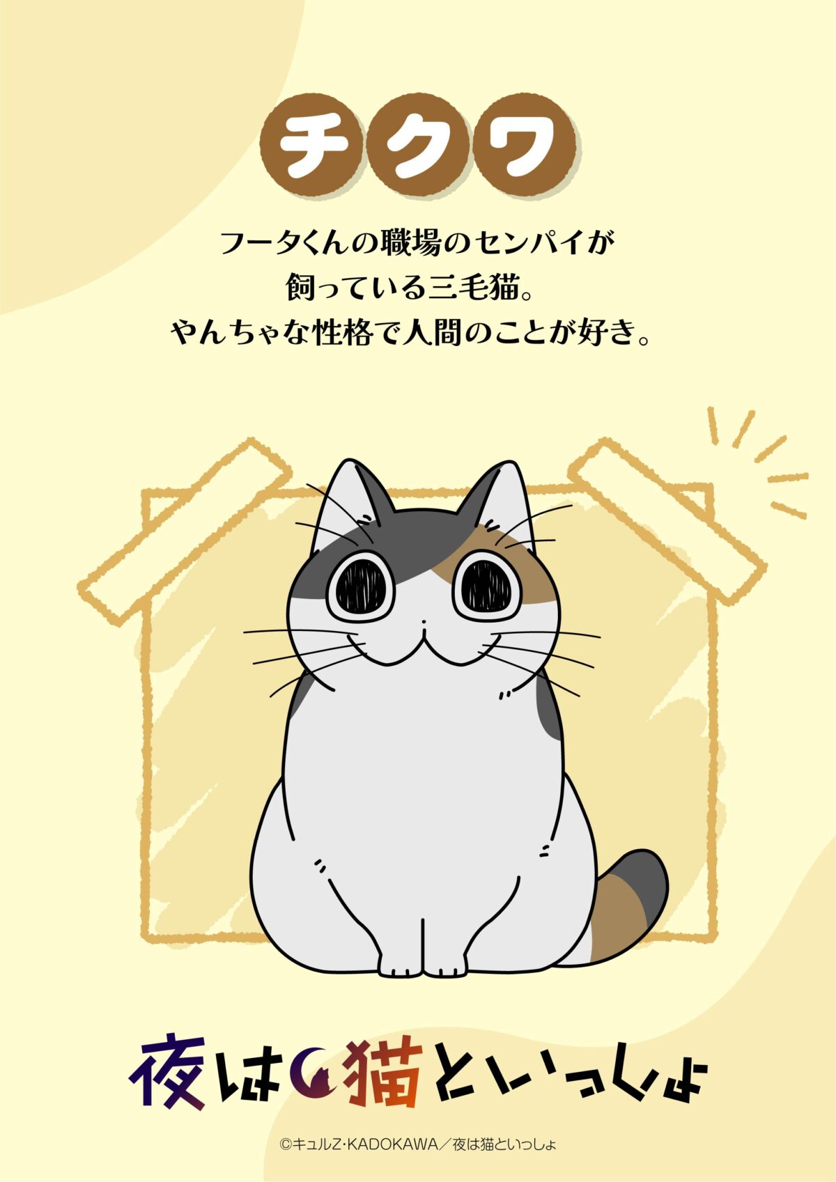 《今晚有貓伴身邊》動畫第三季將於12月播出 公開主要視覺圖與角色視覺圖 圖片3
