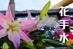 京都楊谷寺的花手水 疫情後神社寺院新魅力 圖片1