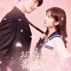 《大小姐與看門犬》真人版電影 公開前導視覺圖與預告影片