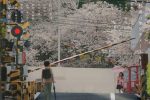來源／映画『秒速5センチメートル』公式-X