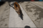Gifski 免費將影片轉為 Gif 格式 Mac App 圖片1